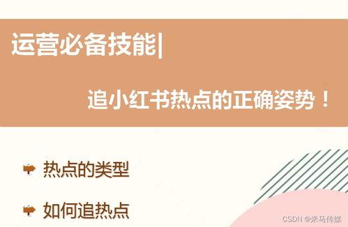 社会热点话题事件2025 网红大鹅